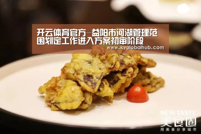 开云体育高清直播