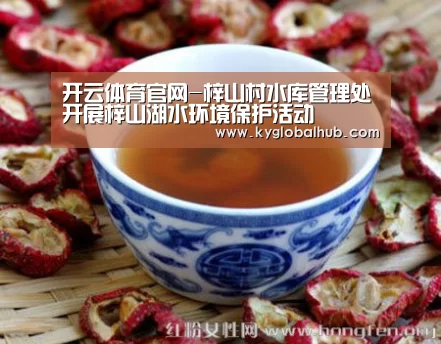 开云体育高清直播