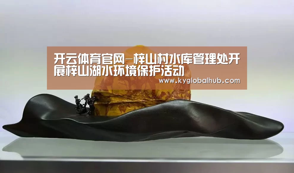 开云体育官网
