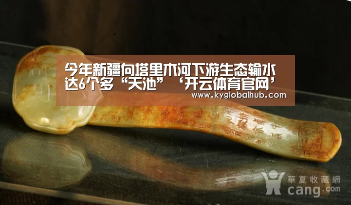 开云体育官网