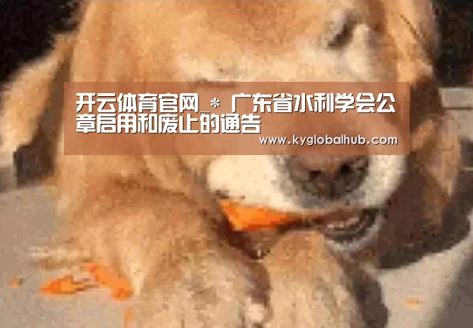 开云体育官网_*
广东省水利学会公章启用和废止的通告(图4) 开云体育高清直播