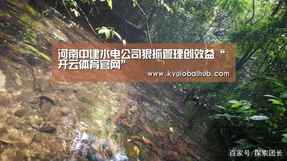 开云体育高清直播
