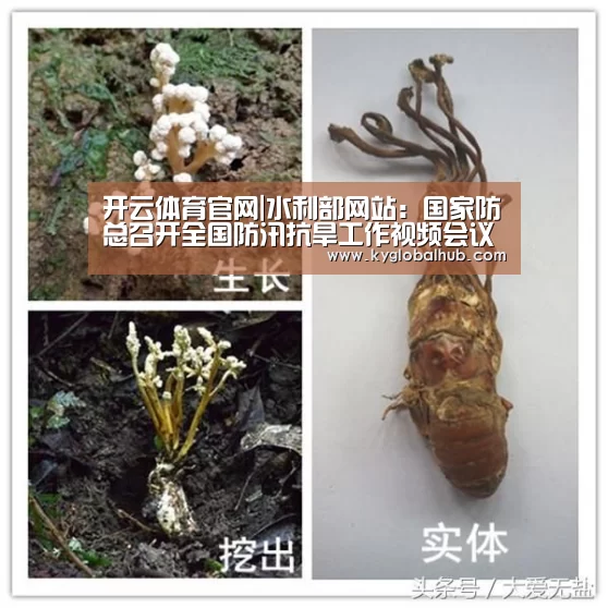 开云体育官网|水利部网站:国家防总召开全国防汛抗旱工作视频会议安排部署2014年防汛抗旱任务(图2) 开云登录